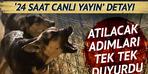 O belediyeler sokak hayvanları için kolları sıvadı! Detay